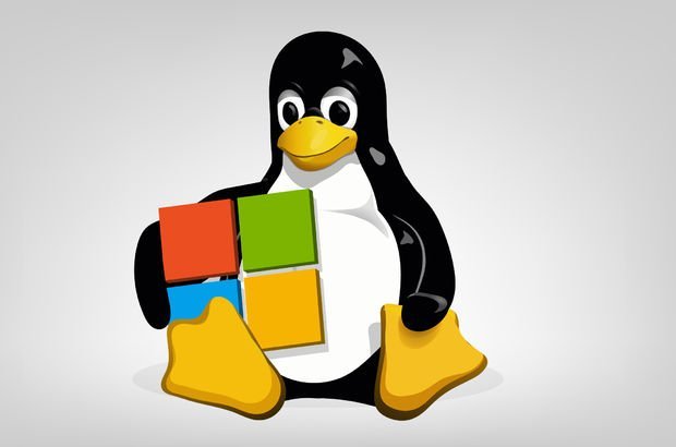 Linux Sistemleri Üzerindeki Önemli Dizinler Nelerdir?