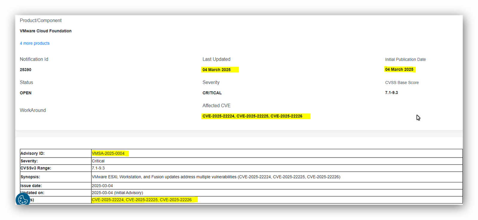 VMware ESXi’de Kritik Güvenlik Açığı: CVE-2025-22224